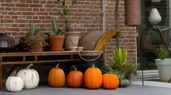 herfstinspiratie tuinkamer